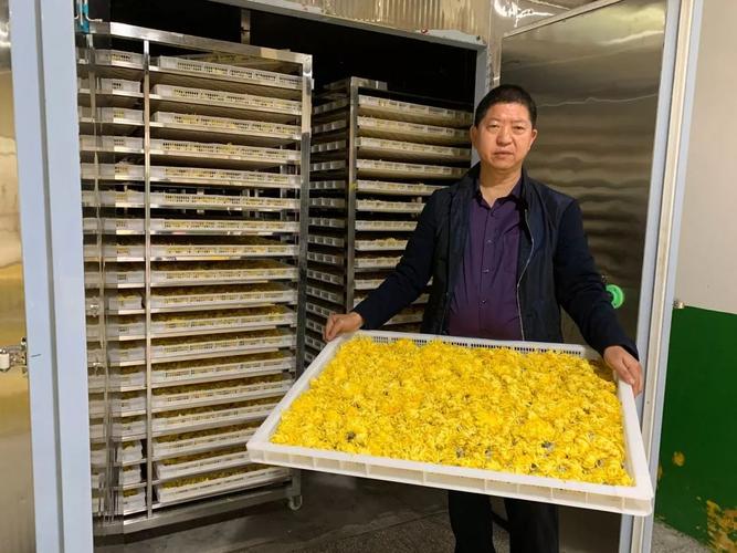 张元勇介绍合作社与万盛的果蔬种植大户达成了购销协议保证企业原材料