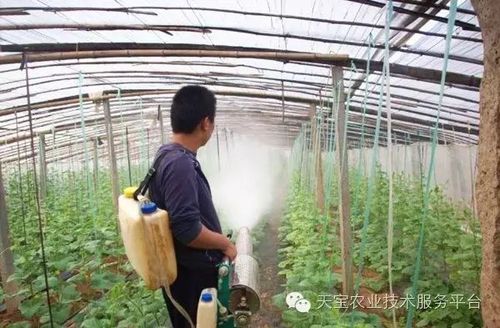 天宝农技服务平台 专为果蔬种植基地,观光园种植,农场主等打造的滓档
